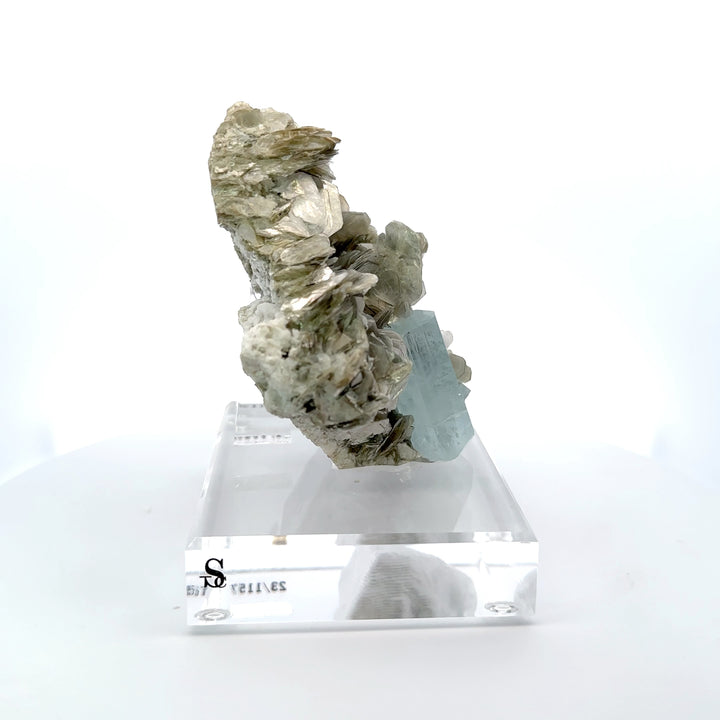 Aquamarine & Muscovite Museum Specimen - 23/1157