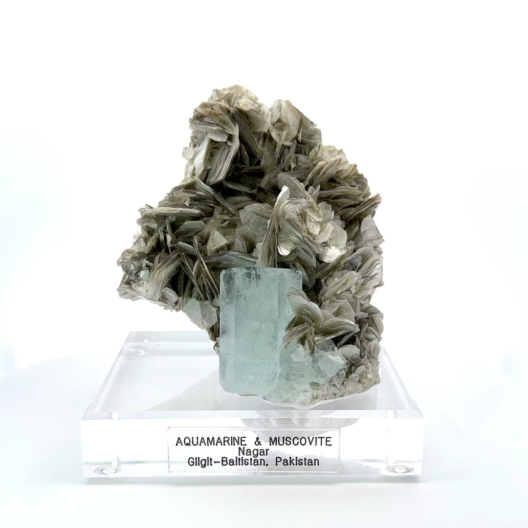 Aquamarine & Muscovite Museum Specimen - 23/1157