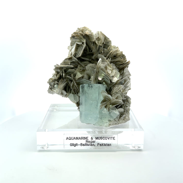 Aquamarine & Muscovite Museum Specimen - 23/1157