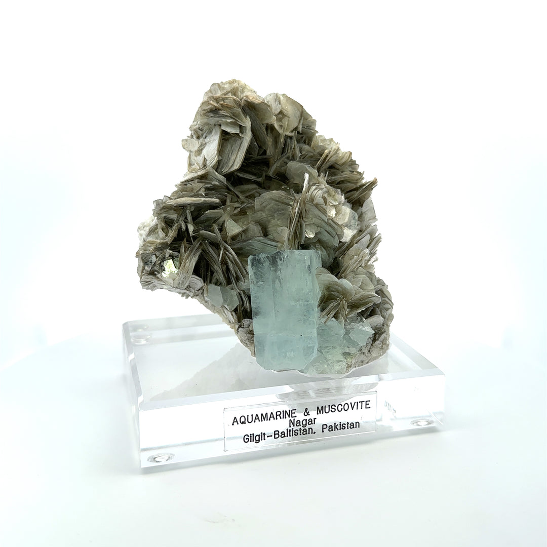 Aquamarine & Muscovite Museum Specimen - 23/1157