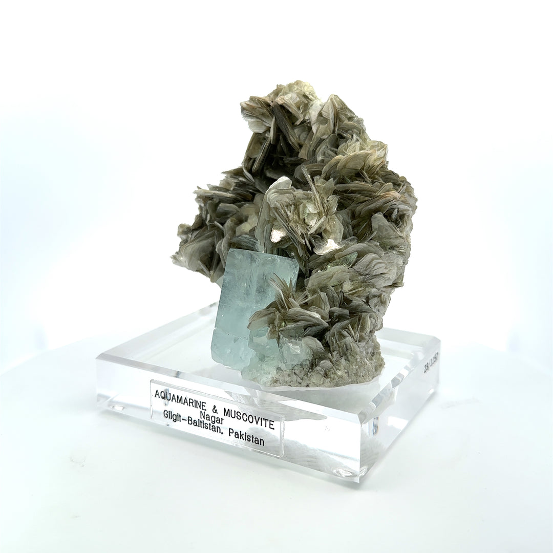 Aquamarine & Muscovite Museum Specimen - 23/1157