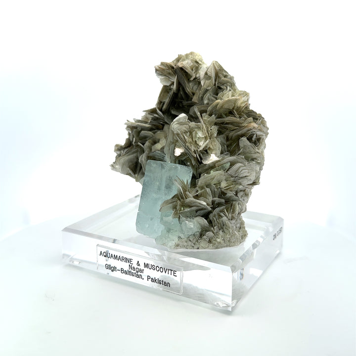 Aquamarine & Muscovite Museum Specimen - 23/1157