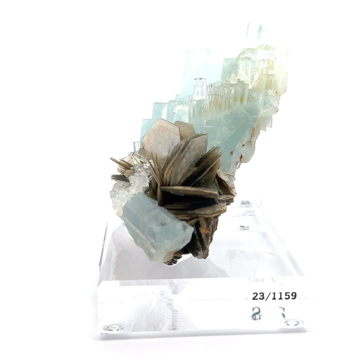 Aquamarine & Muscovite Museum Specimen- 23/1159