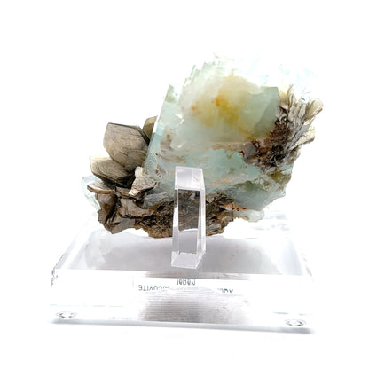 Aquamarine & Muscovite Museum Specimen- 23/1159