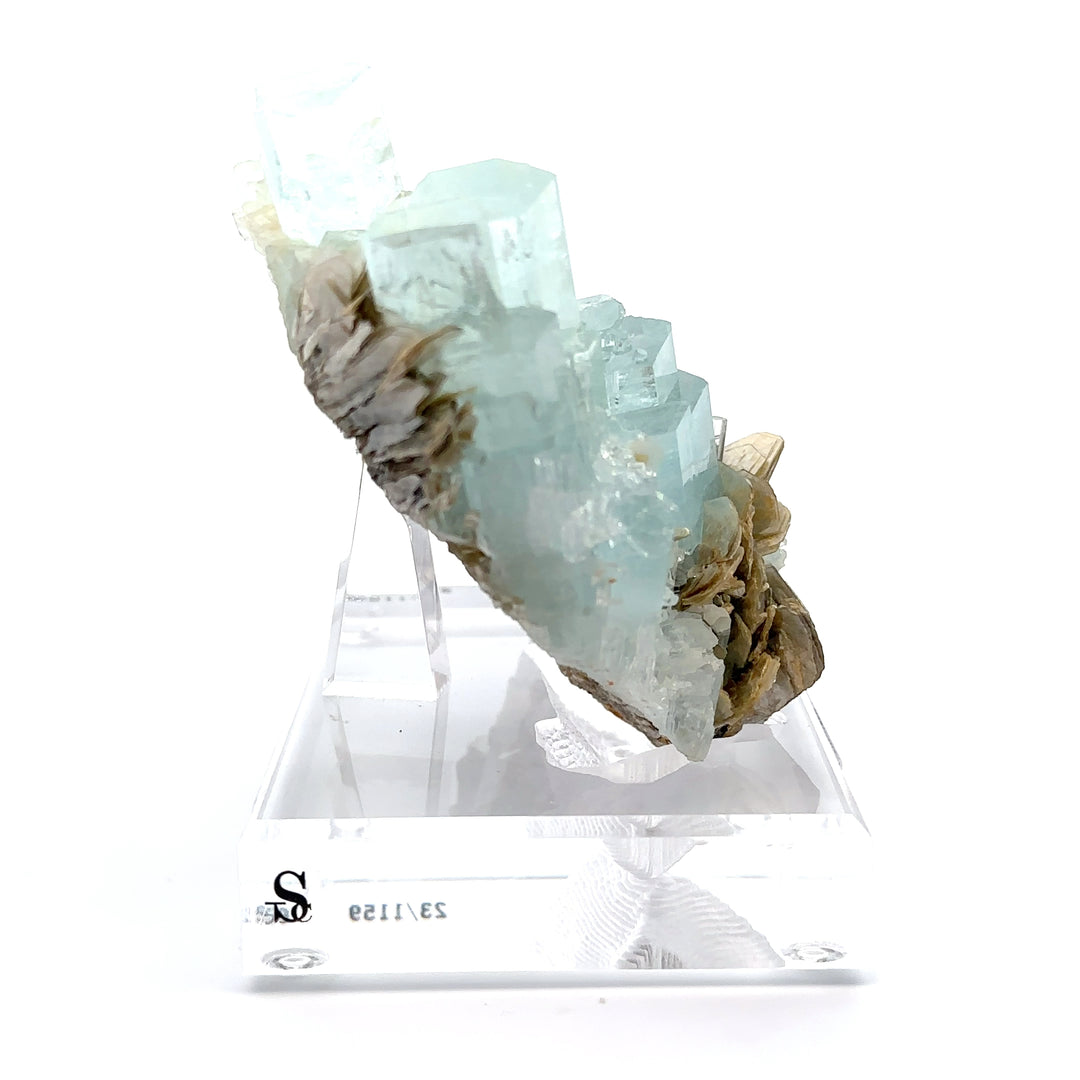 Aquamarine & Muscovite Museum Specimen- 23/1159