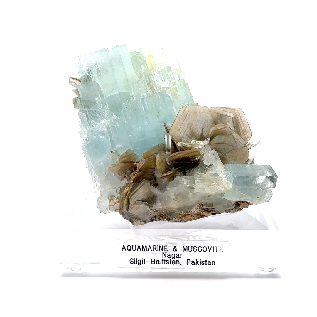 Aquamarine & Muscovite Museum Specimen- 23/1159