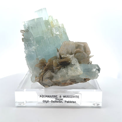 Aquamarine & Muscovite Museum Specimen- 23/1159