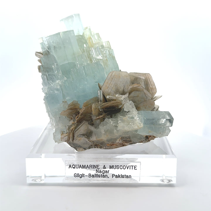 Aquamarine & Muscovite Museum Specimen- 23/1159