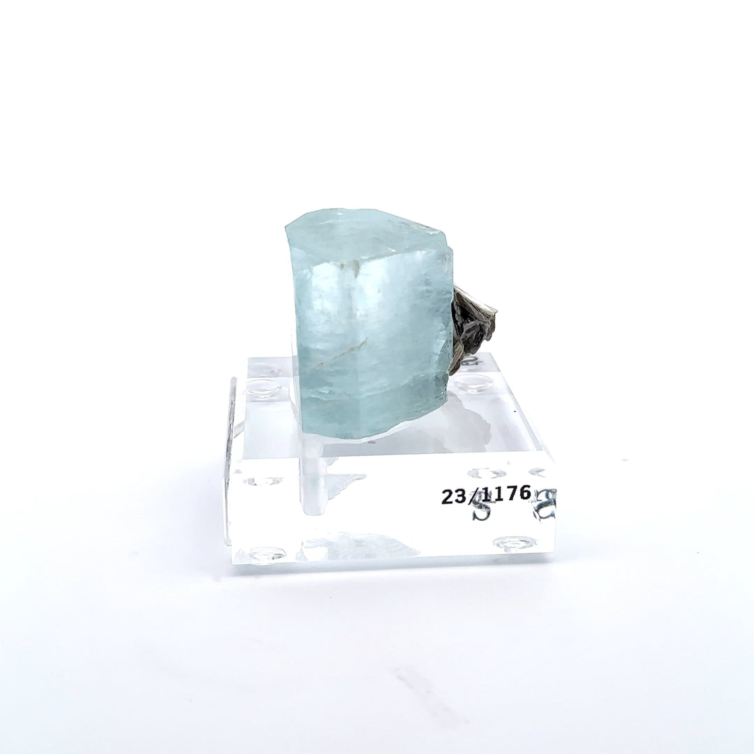 Aquamarine & Muscovite Museum Specimen