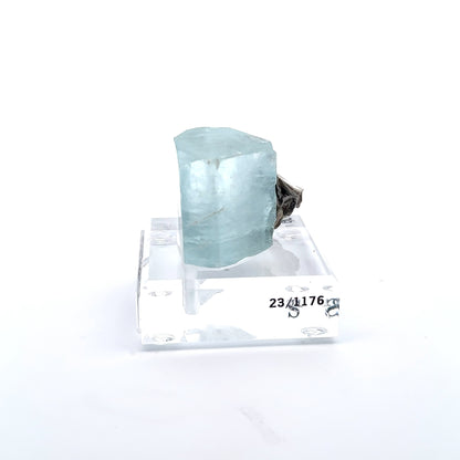 Aquamarine & Muscovite Museum Specimen- 23/1176