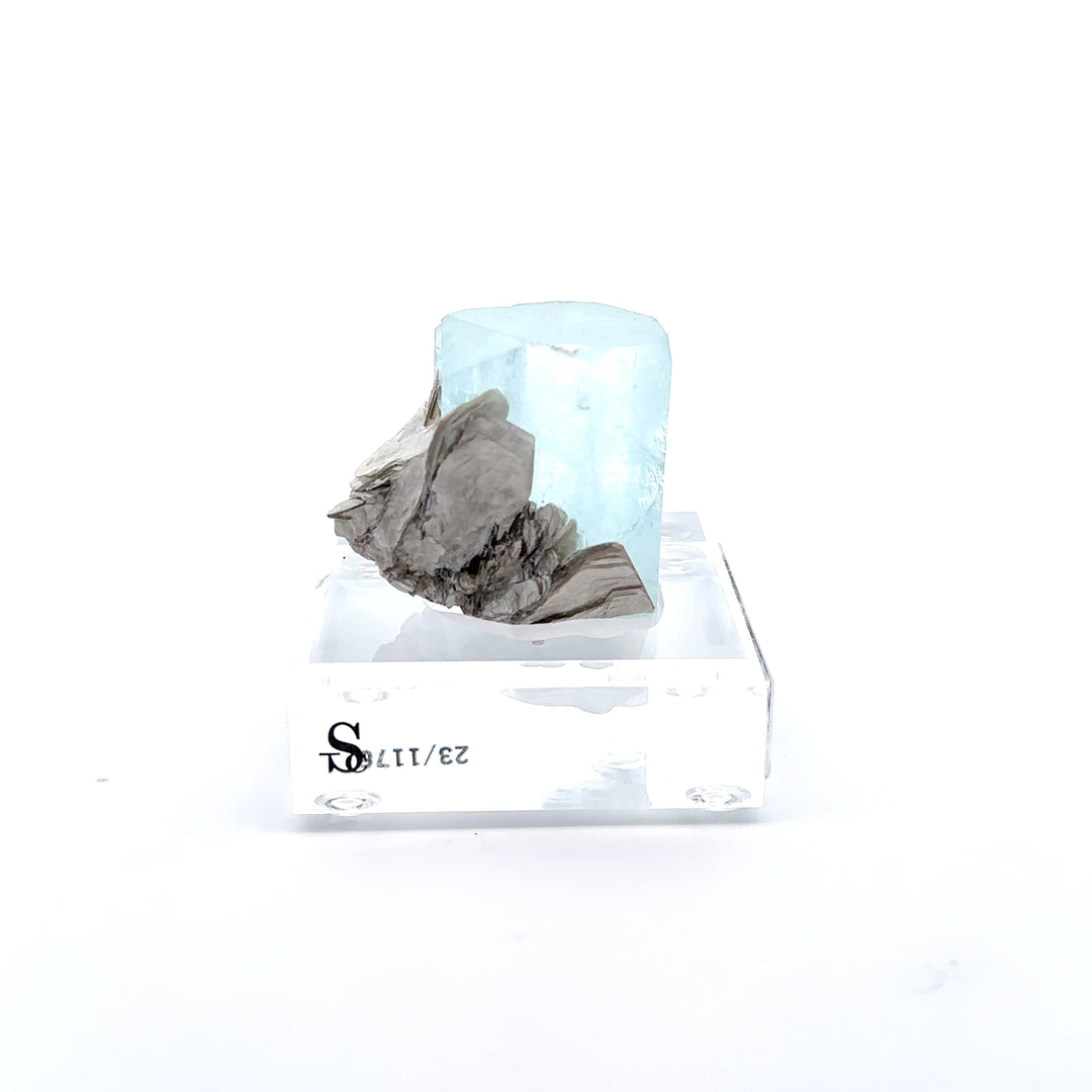 Aquamarine & Muscovite Museum Specimen