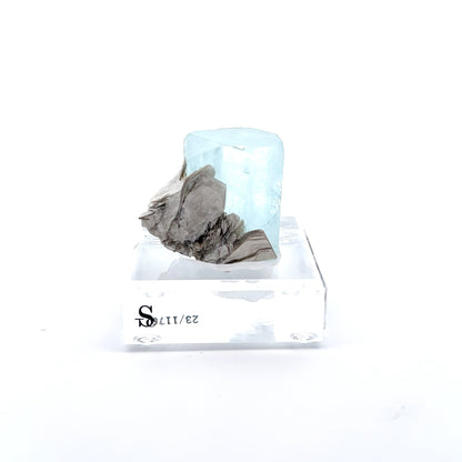 Aquamarine & Muscovite Museum Specimen- 23/1176