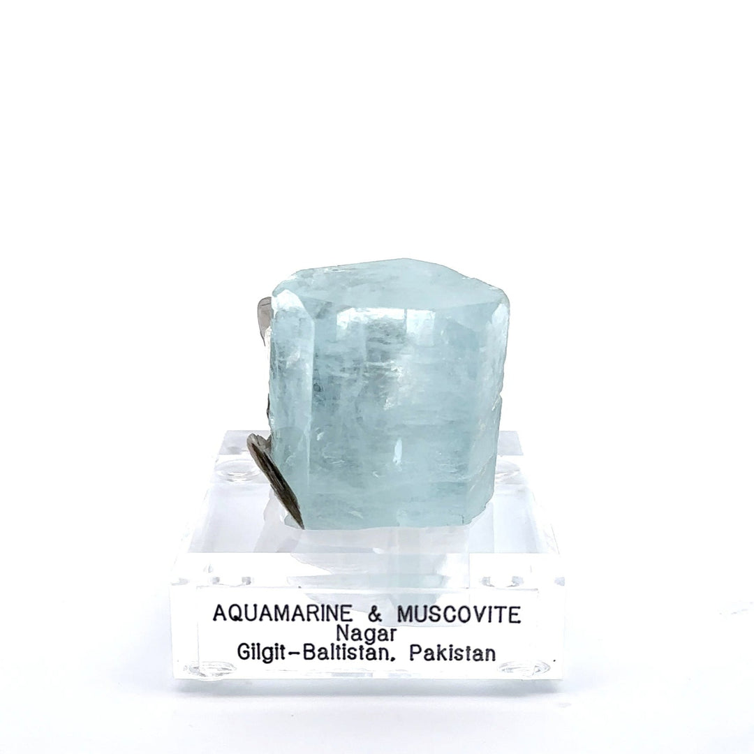 Aquamarine & Muscovite Museum Specimen- 23/1176