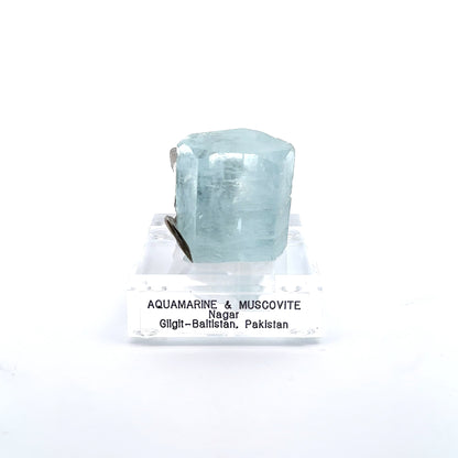 Aquamarine & Muscovite Museum Specimen- 23/1176