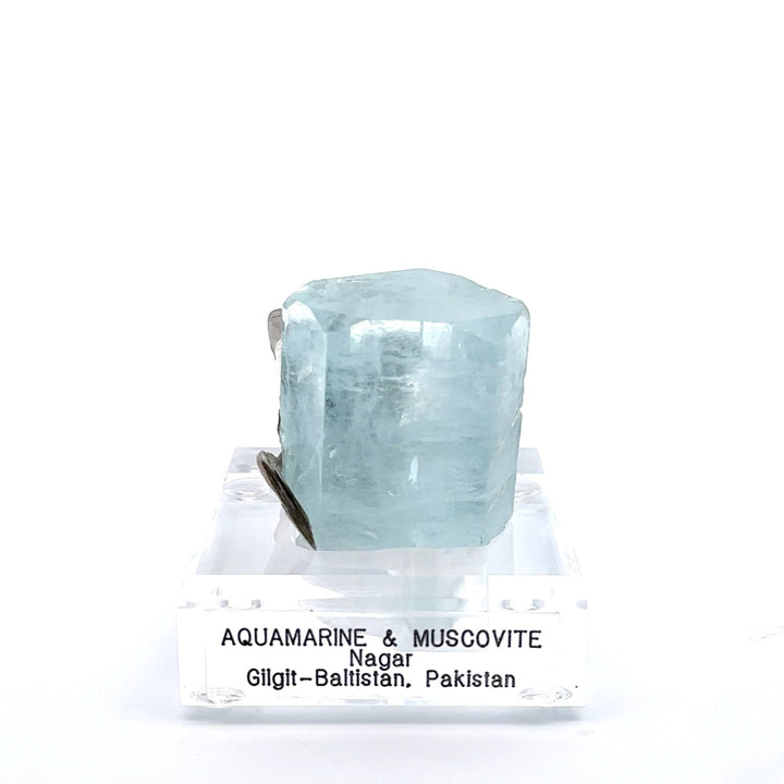 Aquamarine & Muscovite Museum Specimen