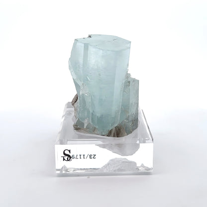 Aquamarine & Muscovite Museum Specimen- 23/1179