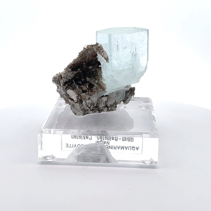 Aquamarine & Muscovite Museum Specimen- 23/1185