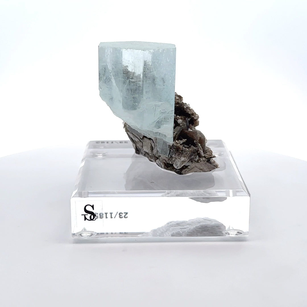 Aquamarine & Muscovite Museum Specimen- 23/1185