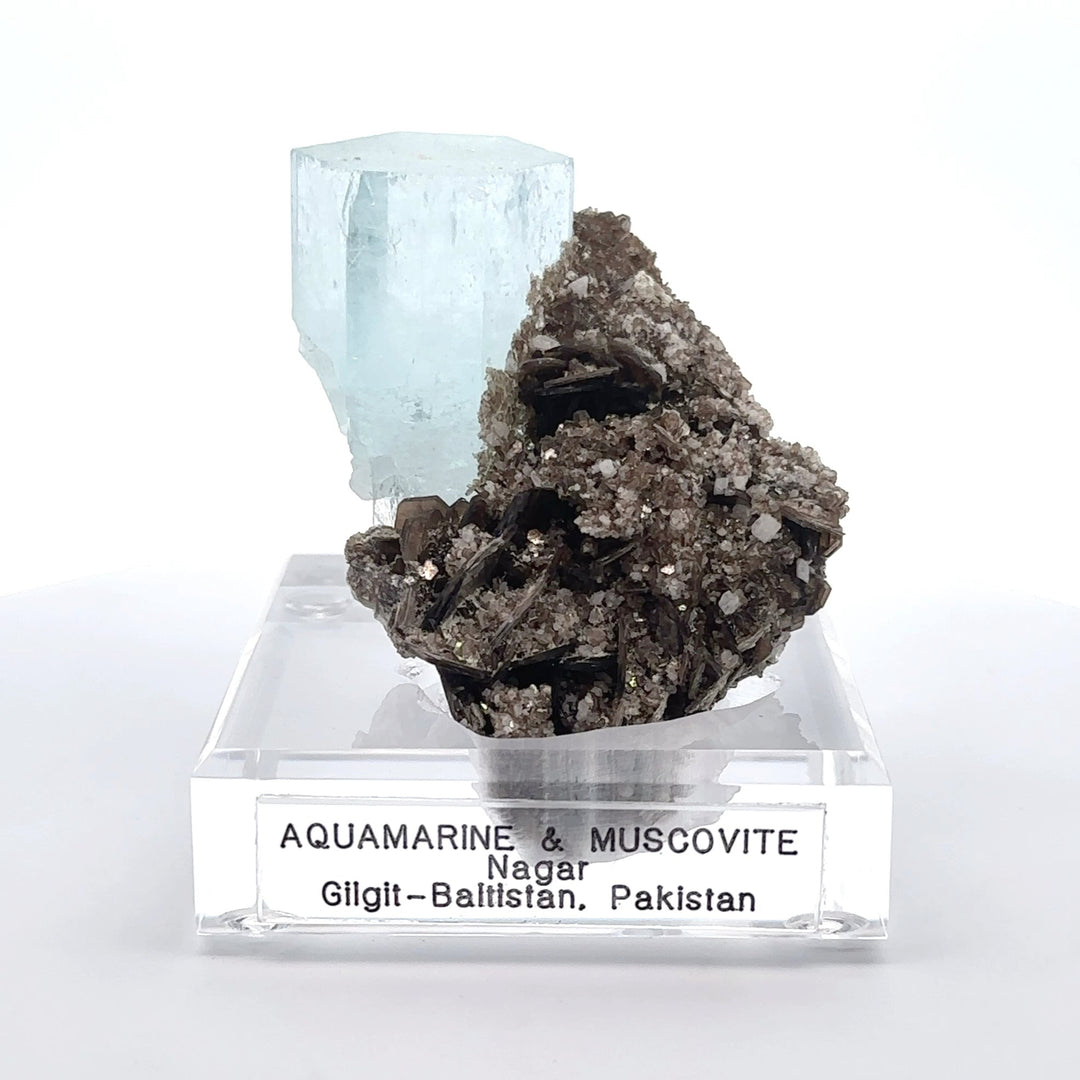 Aquamarine & Muscovite Museum Specimen- 23/1185