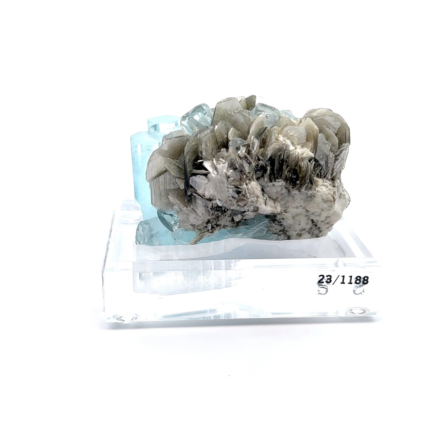 Aquamarine & Muscovite Museum Specimen- 23/1188