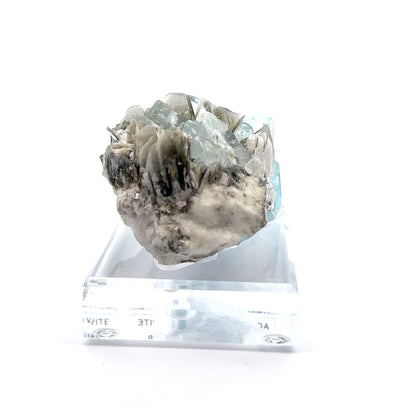 Aquamarine & Muscovite Museum Specimen- 23/1188