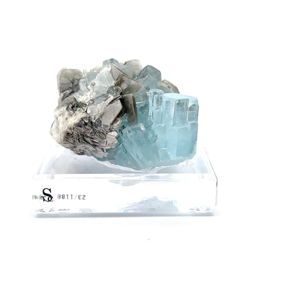 Aquamarine & Muscovite Museum Specimen- 23/1188