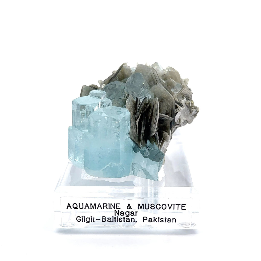 Aquamarine & Muscovite Museum Specimen- 23/1188