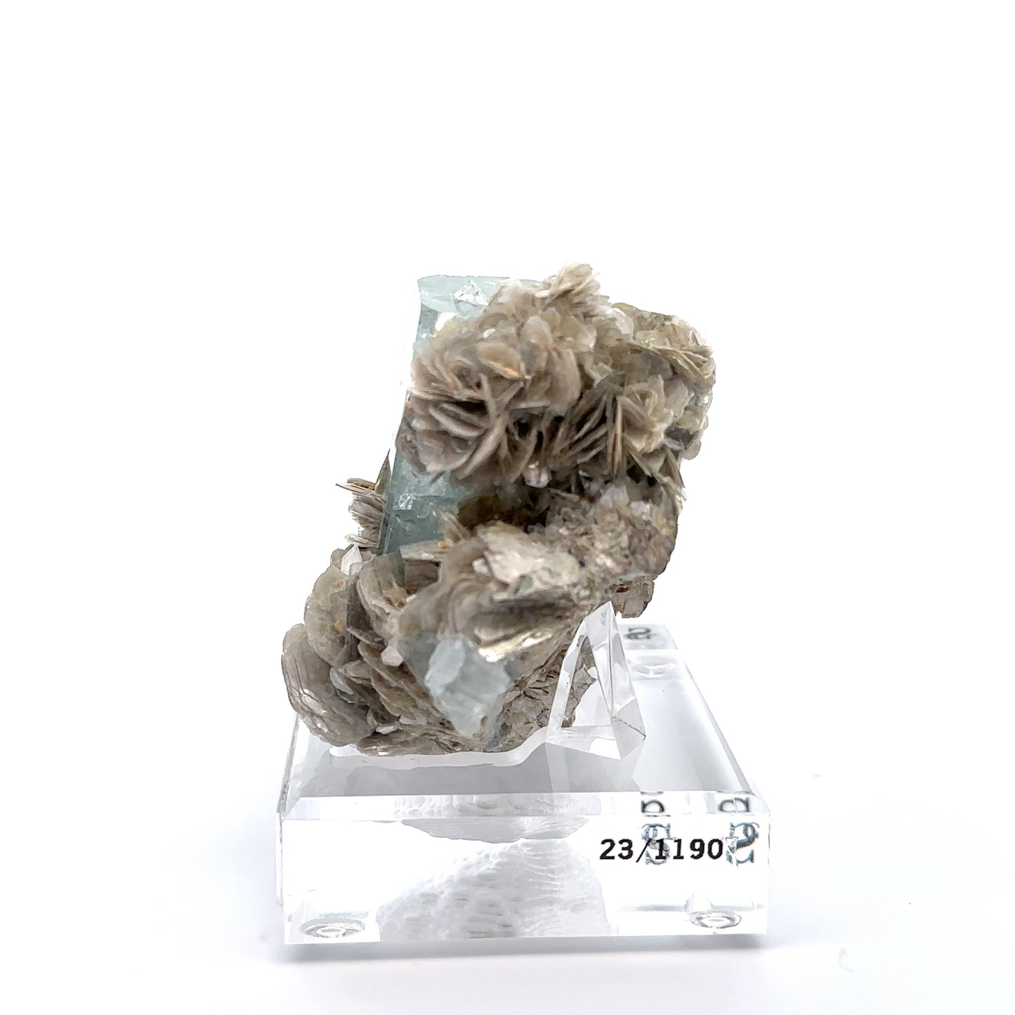 Aquamarine & Muscovite Museum Specimen- 23/1190