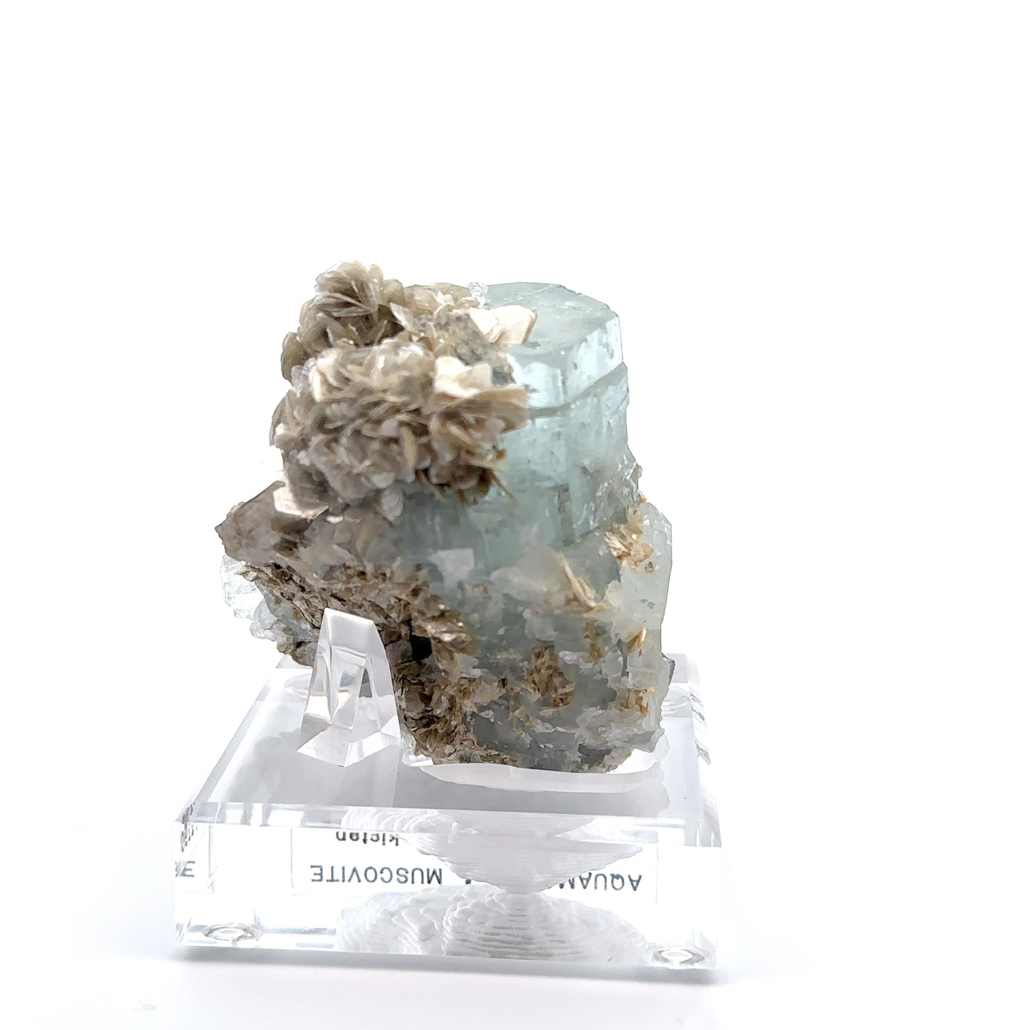 Aquamarine & Muscovite Museum Specimen- 23/1190