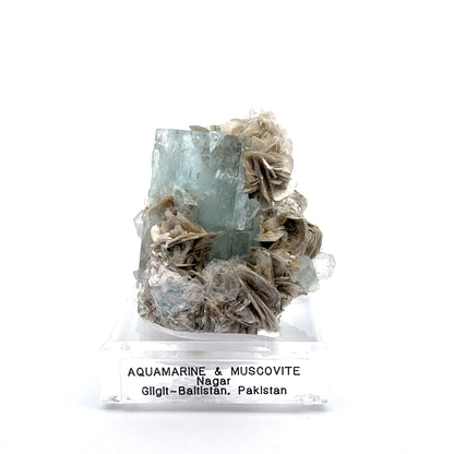 Aquamarine & Muscovite Museum Specimen- 23/1190