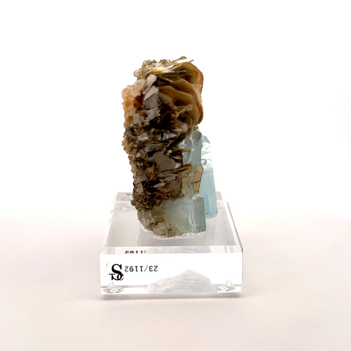 Aquamarine & Muscovite Museum Specimen- 23/1192