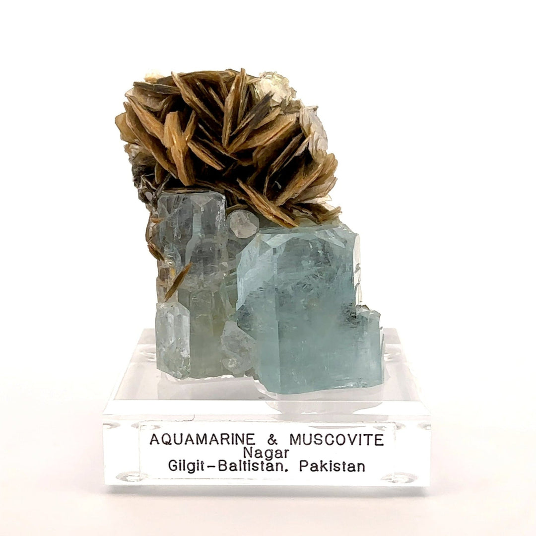 Aquamarine & Muscovite Museum Specimen- 23/1192