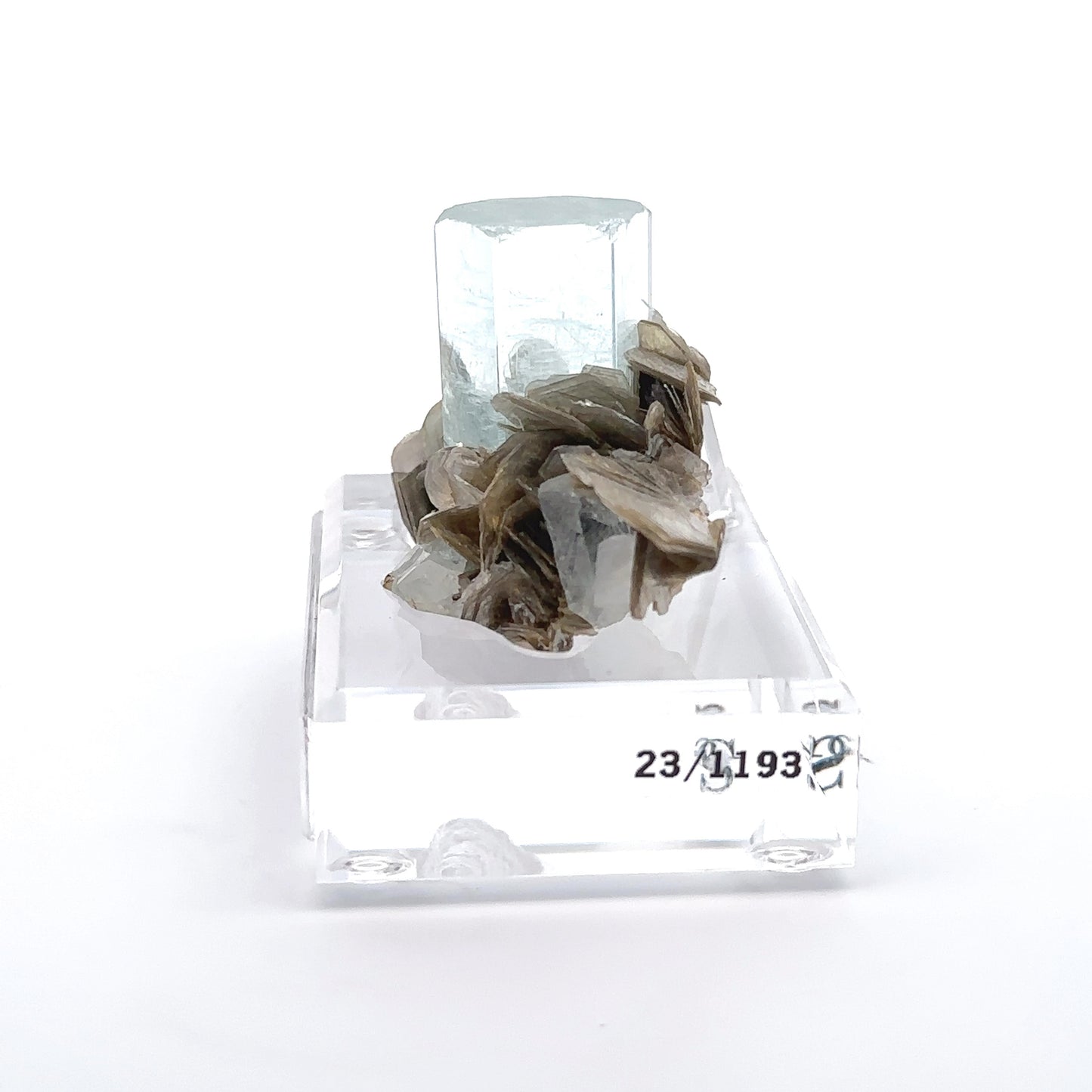 Aquamarine & Muscovite Museum Specimen- 23/1193