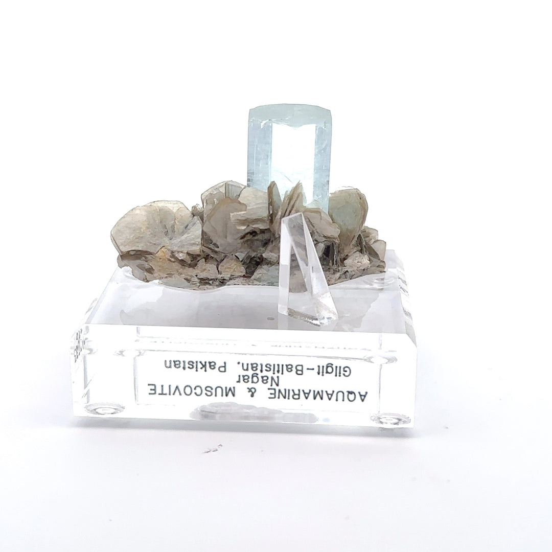 Aquamarine & Muscovite Museum Specimen- 23/1193