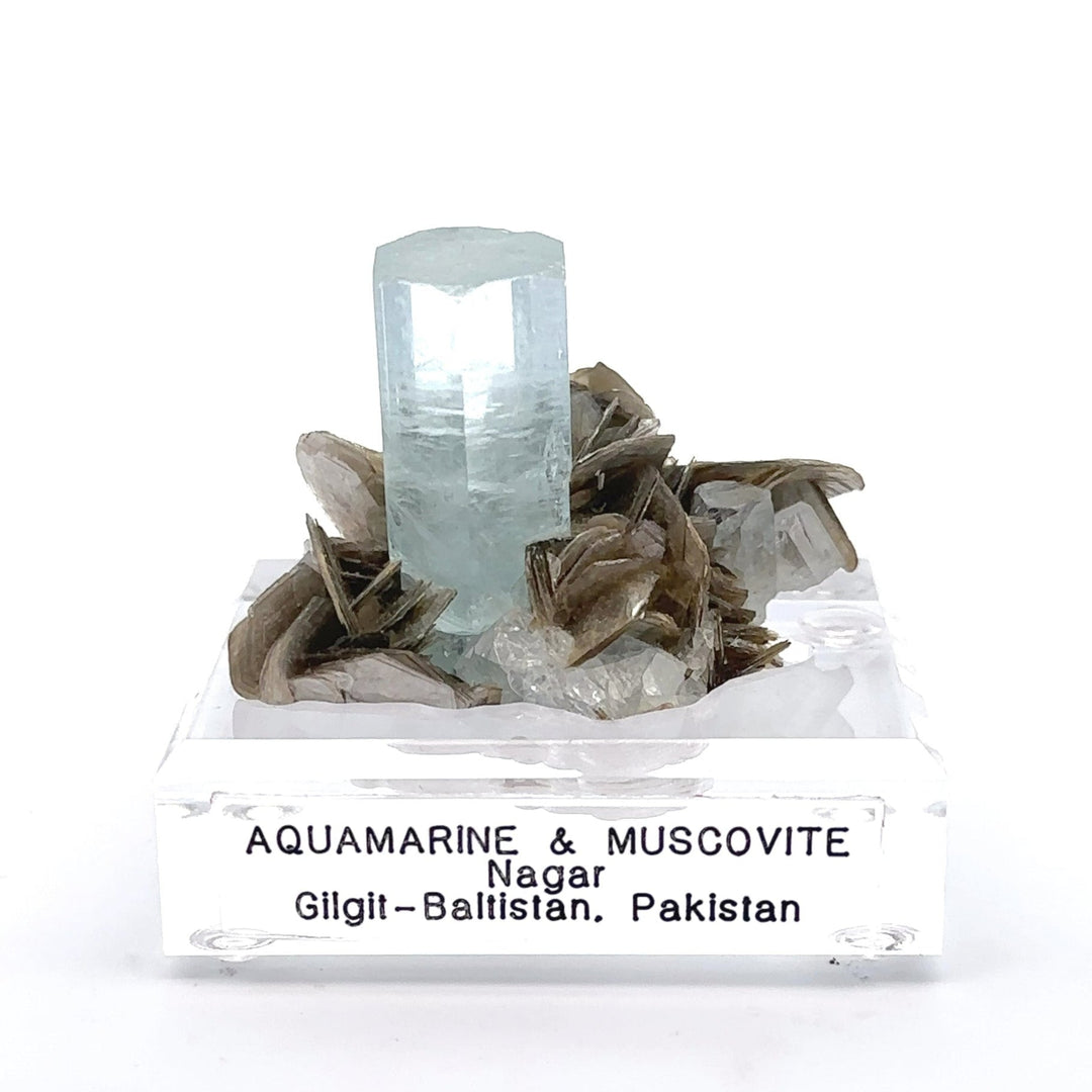 Aquamarine  Specimen- Starseed Crystal Shop