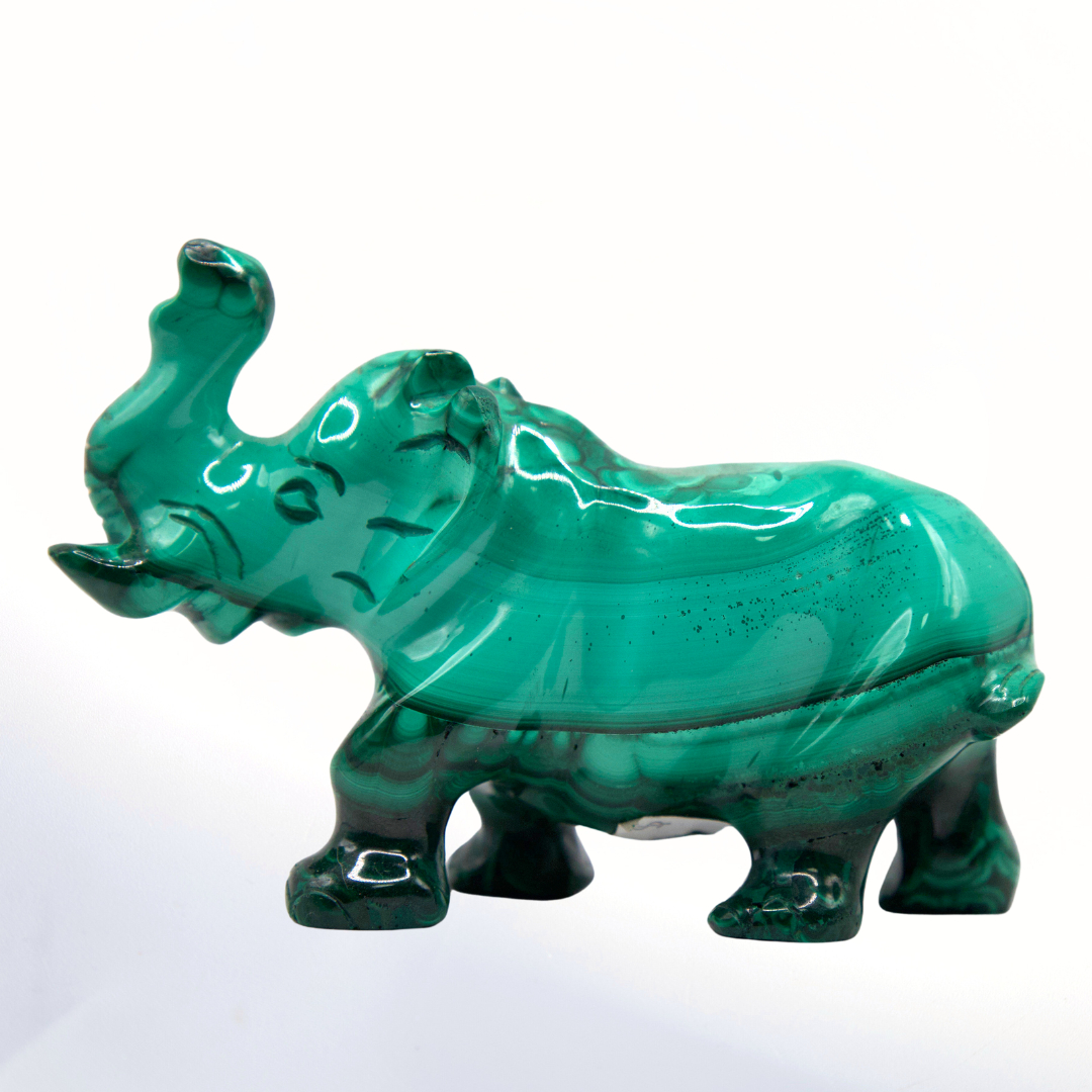 Malachite Bundle: Bracelet & Hand-Carved Elephant