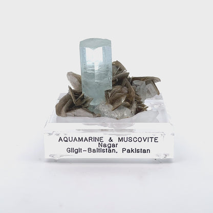 Aquamarine & Muscovite Museum Specimen- 23/1193