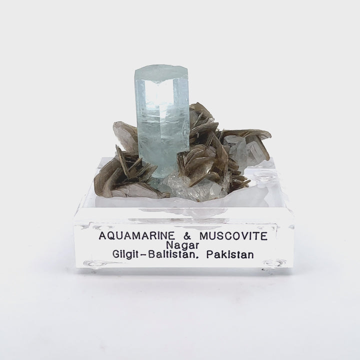 Aquamarine & Muscovite Museum Specimen- 23/1193