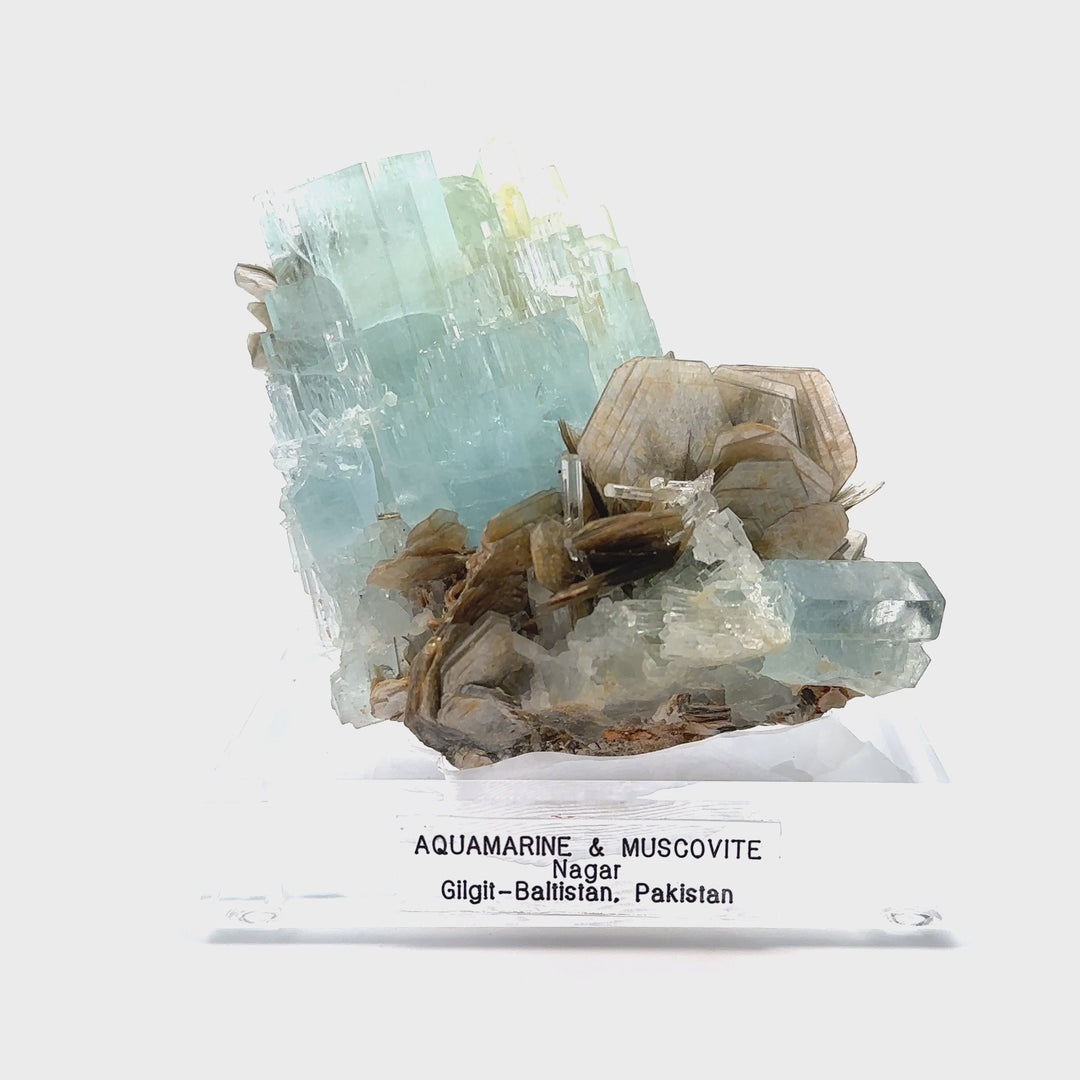 Aquamarine & Muscovite Museum Specimen- 23/1159