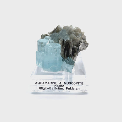 Aquamarine & Muscovite Museum Specimen- 23/1188