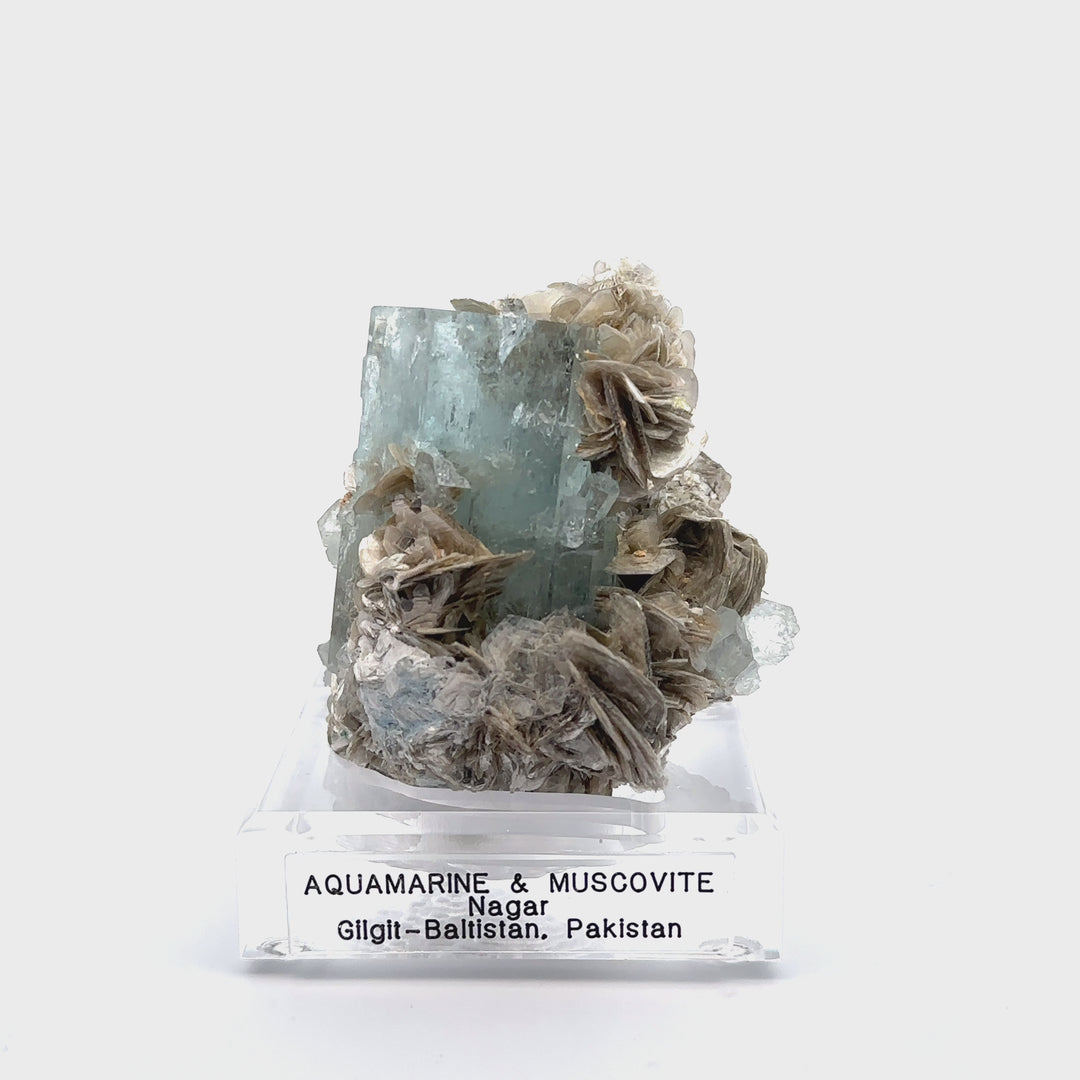 Aquamarine & Muscovite Museum Specimen- 23/1190