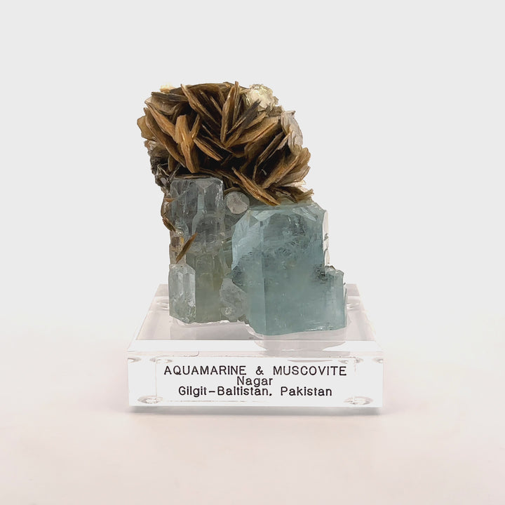 Aquamarine & Muscovite Museum Specimen- 23/1192