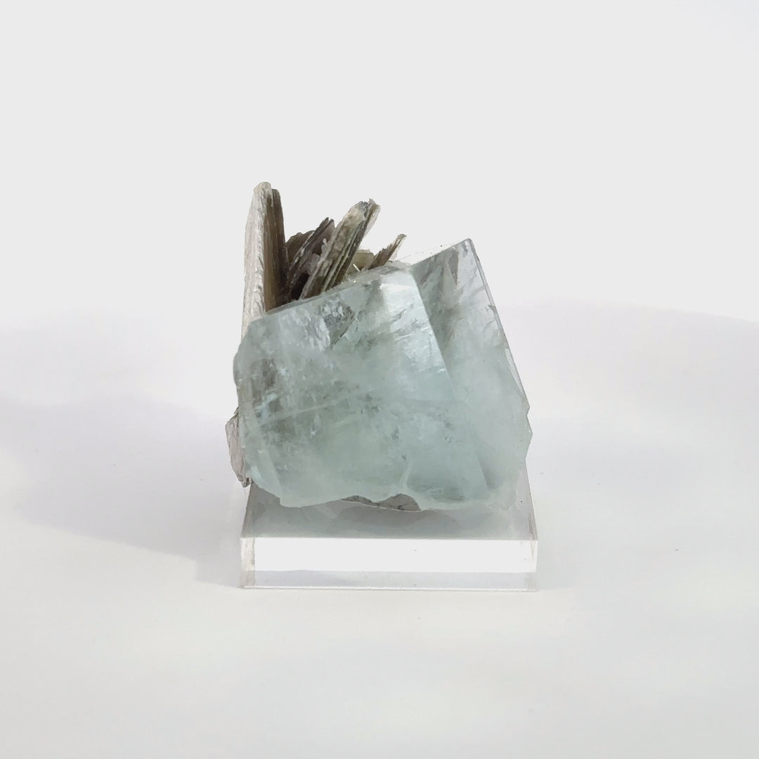 Aquamarine Muscovite Flower - A22 Specimen