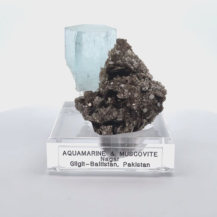 Aquamarine & Muscovite Museum Specimen- 23/1185