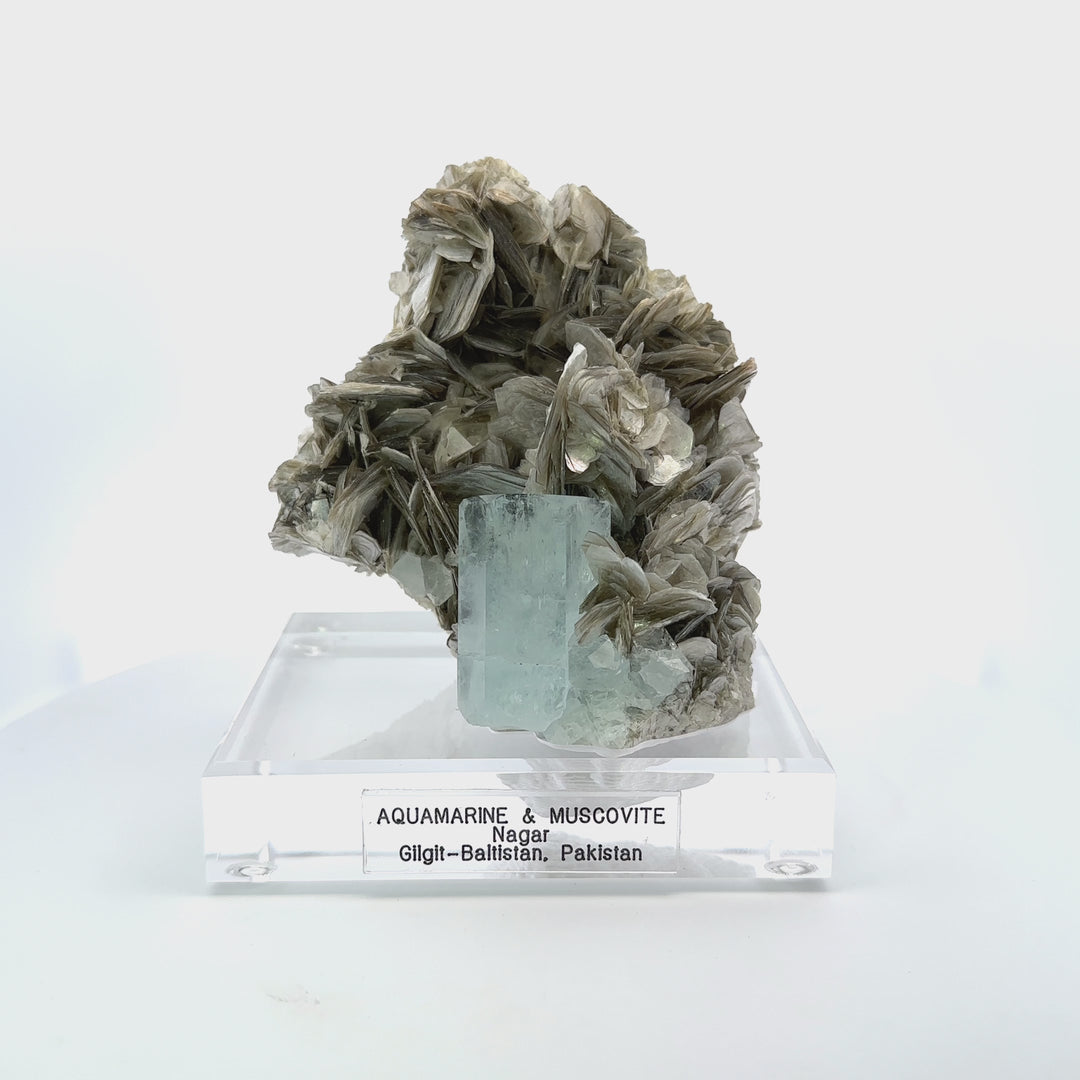 Aquamarine & Muscovite Museum Specimen - 23/1157