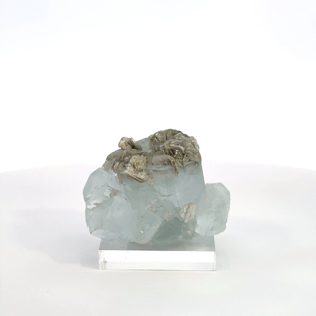 Aquamarine & Muscovite - A20 Specimen