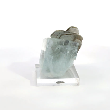 Aquamarine Muscovite Flower Specimen -A22