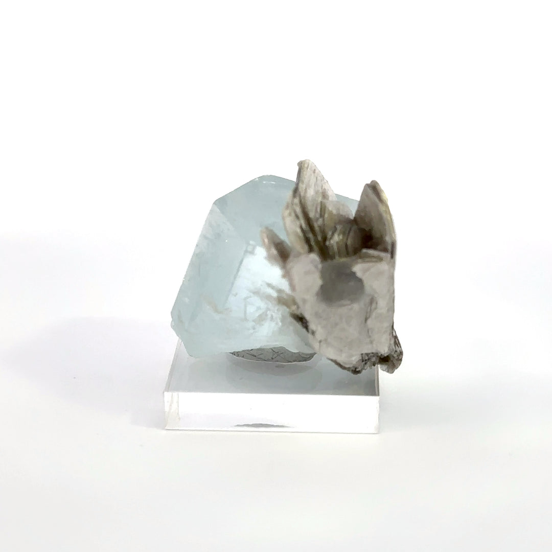 Aquamarine Muscovite Flower - A22 Specimen