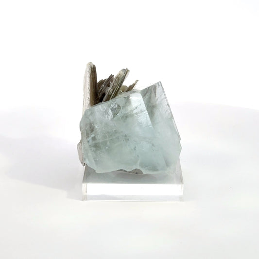 Aquamarine Muscovite Flower Specimen -A22