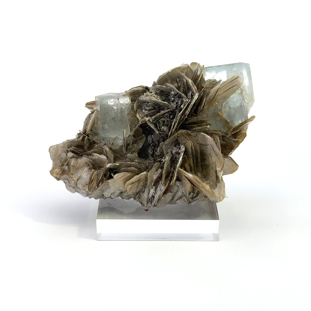 Aquamarine & Muscovite - A23 Specimen